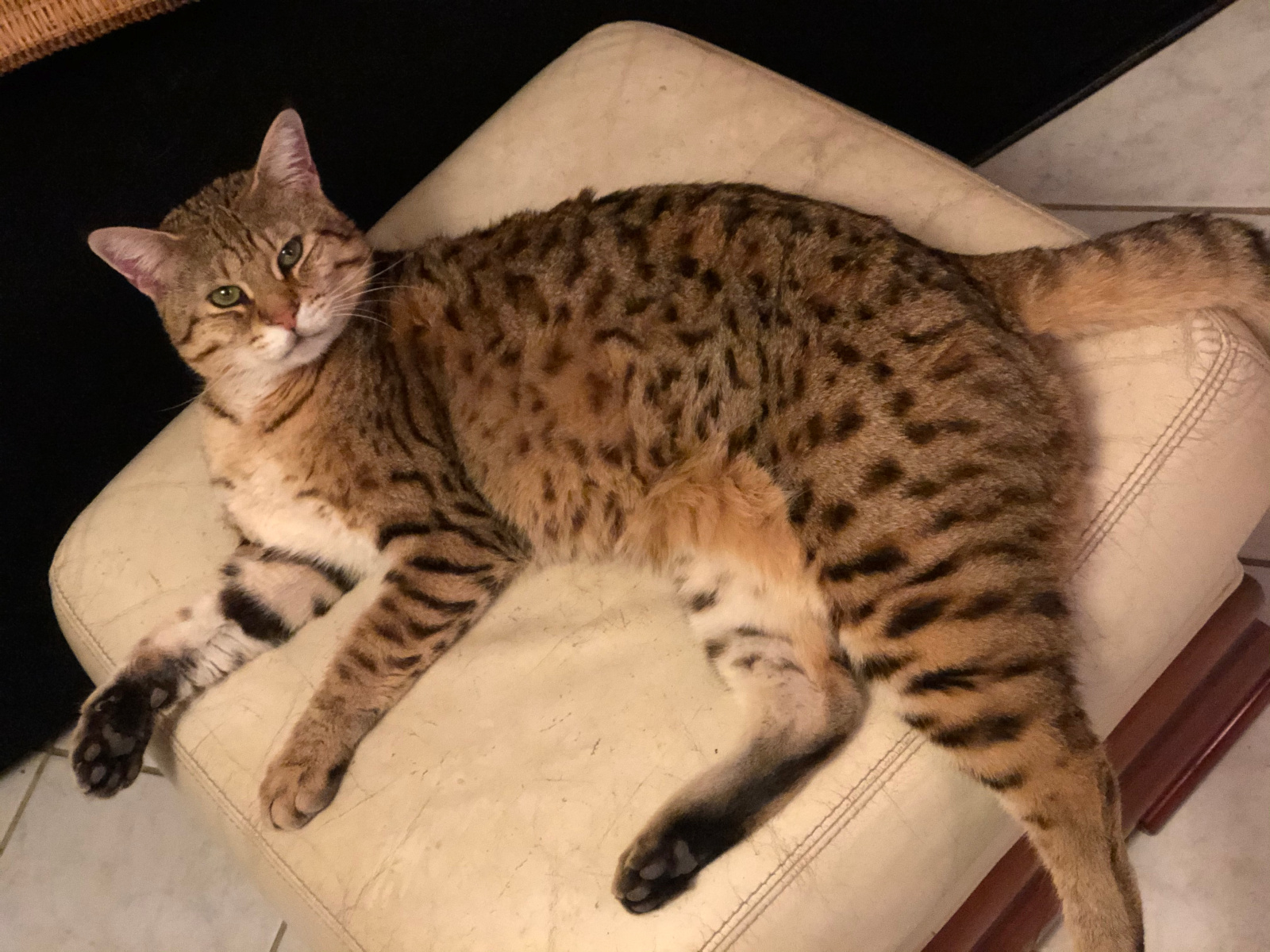 2021 01 07 19.05.50 1